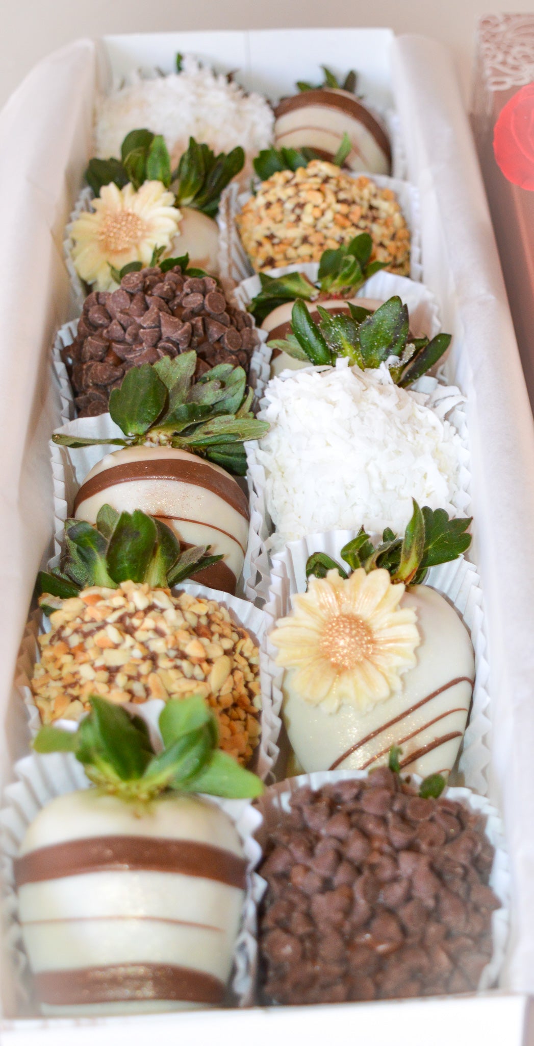 SUNFLOWER BOX