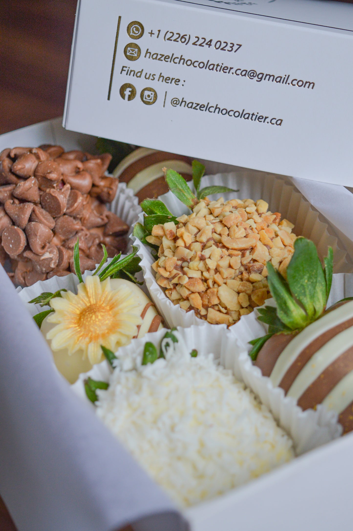 SUNFLOWER - PETIT BOX